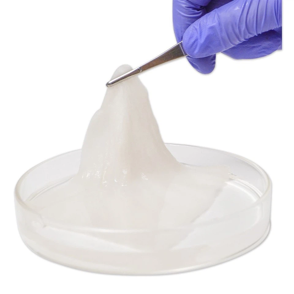 Calcium Alginate Wound Dressing Absorbent Sterile Patches For Wound Care